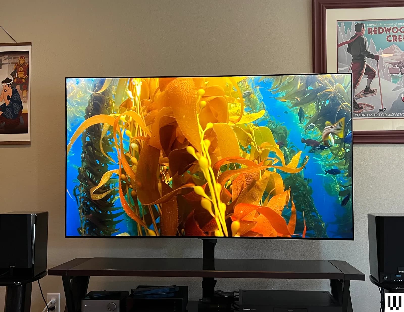 Televisions